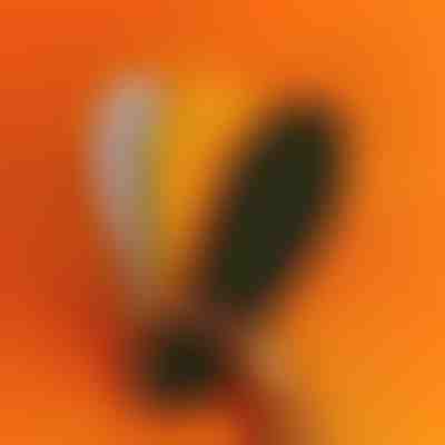 Ortopedski ulošci s masažnim točkama | STEPEASE