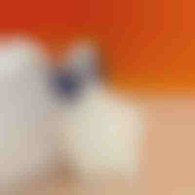 Umetak za petu za smanjenje boli u peti | STEPHEEL